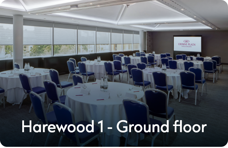 Harewood 1 - Ground Floor